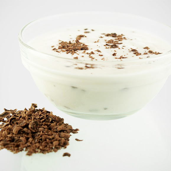 Protedi Kokospudding mit Schokostückchen GF